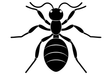 Wall Mural - ant  black icon silhouette, ant illustration, ant animal