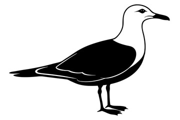 Wall Mural - gull  silhouette vector icon, gull animal