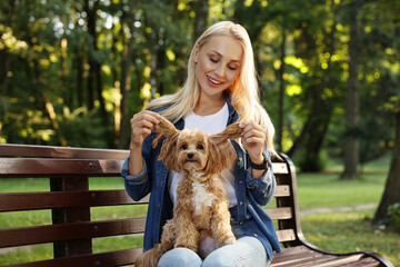 Wall Mural - Beautiful young woman with cute dog on bench in park