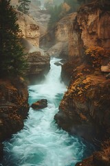 Poster - Fast flowing river through canyon