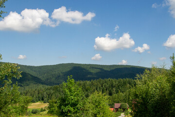 Green forest natural landscape on the mountain in summer. Beautiful colorful summer spring natural landscape in Park surrounded by green foliage of trees in sunlight. High quality photo