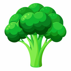 Poster - Vegetable broccoli fresh illustration healthy food 