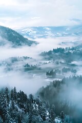 Poster - Winter Foggy Mountains Landscape Aerial View