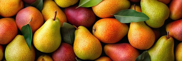 Wall Mural - Seamless background of fresh pear