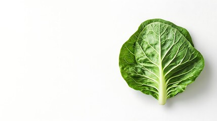 Wall Mural - Single Green Swiss Chard Leaf Isolated on White Background