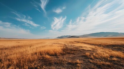 Canvas Print - Golden Grass Field Landscape Under Blue Sky with Clouds