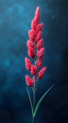 Sticker - Red Flower on Blue Background: A Minimalist Floral Photography