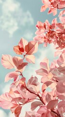 Wall Mural - Pink Leaves Against A Blue Sky