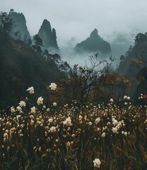 Wall Mural - Misty Mountain Landscape with White Flowers