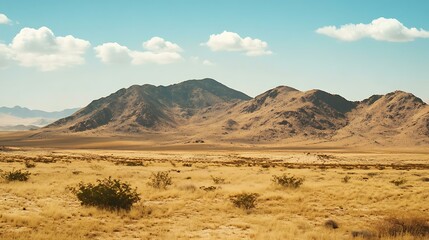 Wall Mural - Mountain Range In A Desert Landscape