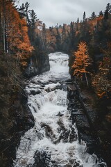 Wall Mural - Waterfall in Forest with Autumn Leaves