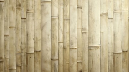 Poster - Bamboo Wall Texture