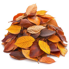 Sticker - Fall Leaves Pile Isolated