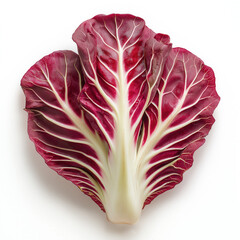 Wall Mural - Radicchio Isolated