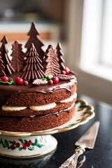 Poster - Chocolate cake decorated with chocolate trees, leaves and berries on an elegant plate