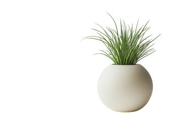 Poster - Modern eco-friendly design, sleek and sustainable, minimalist aesthetic ,Isolated on transparent background.