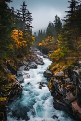 Canvas Print - Autumn Colors and Rushing River in a Mountain Valley