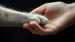 © Ramses - cat paw and human hand on black background