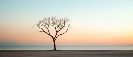 Wall Mural - A tree stands alone on a beach at sunset