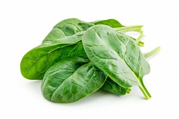 Canvas Print - A fresh Spinach isolated on white