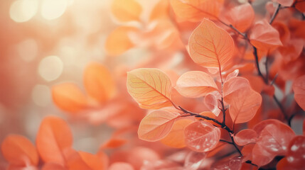 autumn leaves in the sun bokeh unfocused background space for copy text seasonal autumnal landscape