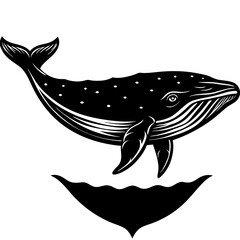 Wall Mural - Whale Silhouette Beneath Water Shadow Art Vector