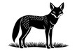 © Kashem - A detailed vector illustration of a Black-backed Jackal standing in the grassland of the African Savanna, capturing its wild and agile nature in a natural habitat setting.