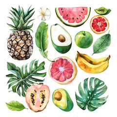 Wall Mural - watercolor tropical fruits set isolated on a white background, mango, avocado, watermelon, pineapple, orange, banana,, monster leaves