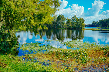 The landscape of Hillsborough river and River hill park at Tampa, Florida