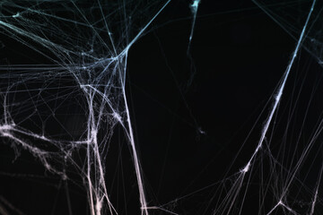 Cobweb against black background, toned in gradient blue color