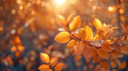 Wall Mural - Autumn Leaves in Warm Sunlight