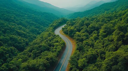 Wall Mural - Aerial View of Winding Road Through Lush Green Forest