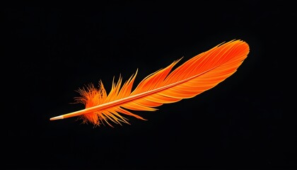 Vibrant orange feather glowing against a stark black backdrop