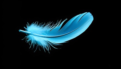 Floating Bright Blue Feather on Black Background