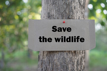 Paper sign with text Save the wildlife. Concept, wildlife, forest conservation for the earth. Environment protection. Campaign and motivate to care and conserve ecology system.   