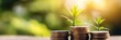 © Naru - Stacks of coins with growing plants symbolizing financial growth, investment, wealth, and future prosperity.