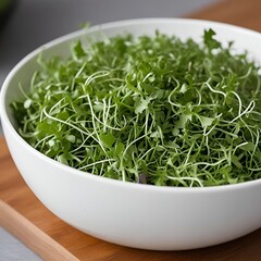 Wall Mural - bowl of green salad