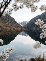 Wall Mural - Mountain Lake with White Flowers