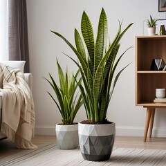 Canvas Print - modern living room with plant