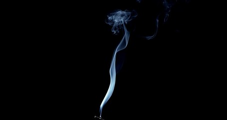 Wall Mural - Real smoke on a black background. Thin Flexible Trickle of Real Smoke. Colorful real smoke rises up. Ideal for background or over-layer with blending mode add, screen, lighten.