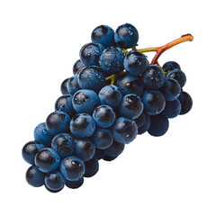 Bunch of fresh, dark blue grapes with water droplets