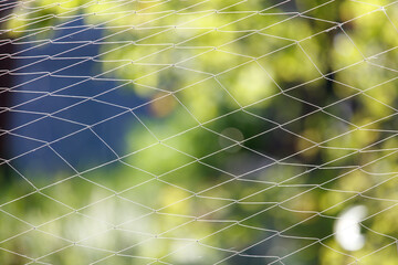 Wall Mural - Woven net against the backdrop of nature in summer