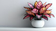 © Komkrit - A vibrant calathea plant with bold, patterned leaves, resting on a sleek white shelf, with light gently highlighting its intricate details, evoking modern decor and tropical elegance
