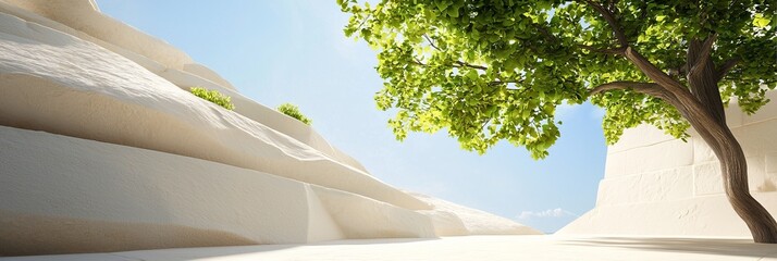  A solitary tree on a sidestreet, flanked by white walls; blue sky overhead