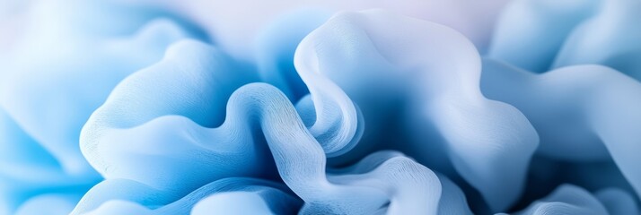 Canvas Print -  A tight shot of a blue-and-white bloom with softly blurred petals