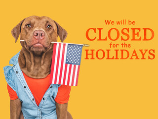 Signboard with the inscription We will be closed for the Holidays. Adorable brown dog and a basket with pumpkin. Closeup, indoors. Studio shot. Pets care concept