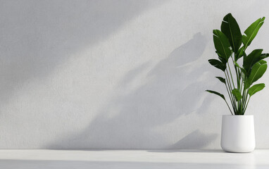 Poster - A minimalist interior featuring a potted plant against a soft gray wall, creating a serene and modern atmosphere perfect for home decor.