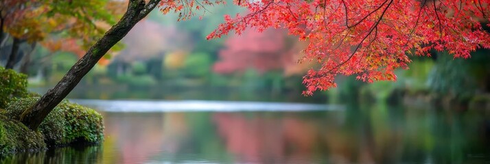 Wall Mural -  A red-leafed tree mirrored in a tranquil body of water