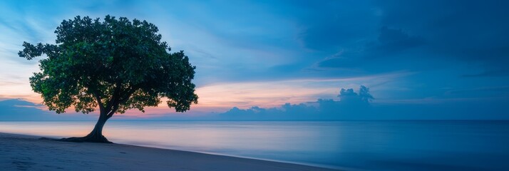  A solitary tree on the water's edge, silhouetted against a sunset backdrop and dotted with clouds in the sky