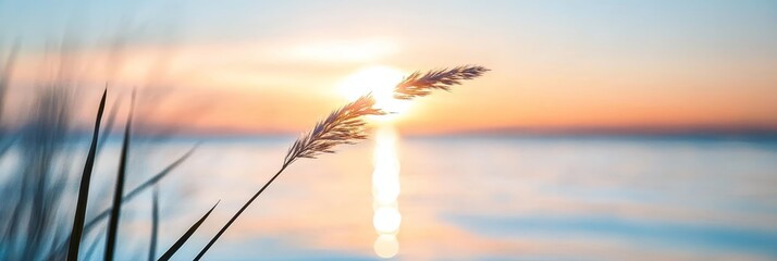 Wall Mural -  A tight shot of a plant by a water body as the sun sets behind